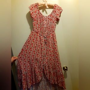 Indigo Rose Floral Dress
